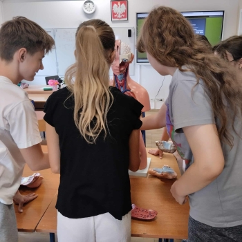 90f2991b-39fd-4f6e-ba28-df452289871b