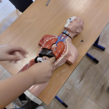 56710cbf-8883-4564-8e9c-a7fa67513389