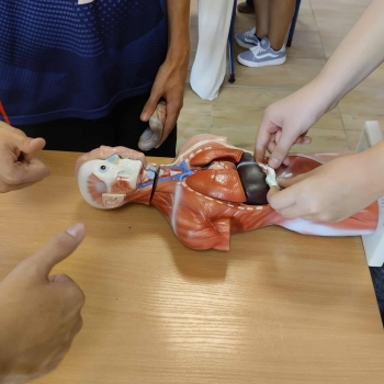 028cd025-a007-4269-8d40-375c6abdb2db