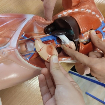 2e3d9543-98d4-4694-baef-27028f6ea87e