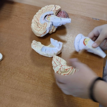 bf3b3e87-191b-4cdf-b831-5a8305c36a9a