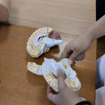 4be0dd1e-e9d4-4c65-8b1e-ad9a44e884ce