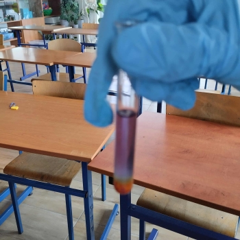 8224e472-b47e-419f-8ce2-8673b78e581f