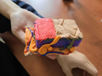 64eded31-f559-437f-bb43-a128b442adfb