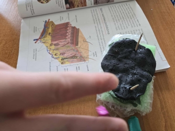 e6042d9b-c9fa-46a1-8fdc-0c68e08cd531