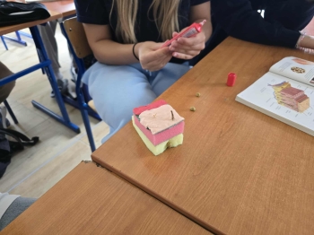 ee9f78df-1536-4928-8378-6d1a8bb4d595