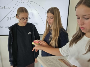 7239b20d-b7b9-4bfd-967b-cbfcc71c0383