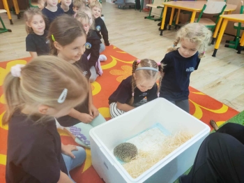 06187456-6b3a-48f8-b360-3be7b0bf694e