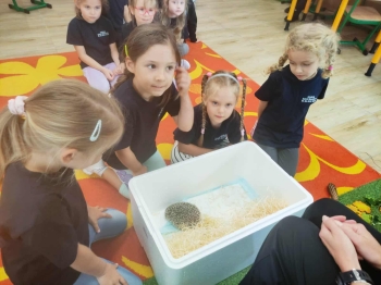 00e6f631-4372-4277-9d7c-f5f1903a6eba