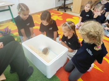 fabe28a1-e376-4780-9d53-aaa98dbbdb45