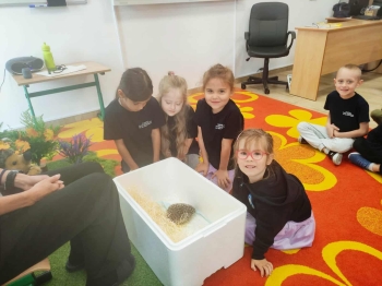 28cade0c-db52-4d00-be8e-ffdcb9ced677