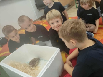 efb0416d-1a54-4766-9036-9dbba45dccfa