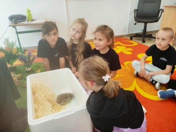 7b8e8a9f-fea3-4ad4-996c-59e711572180