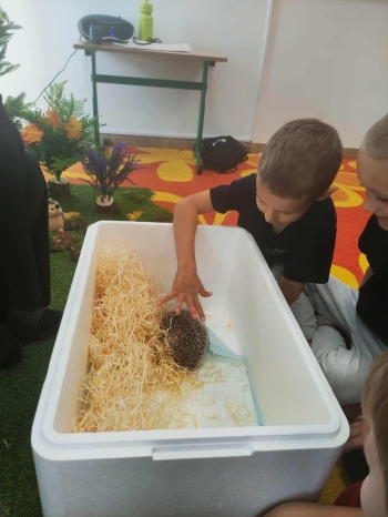 080cd181-ebed-4a79-ad96-7c0d87ba162c