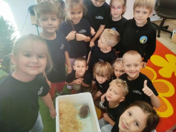 f382f87b-d932-48e2-9518-d72f30383533