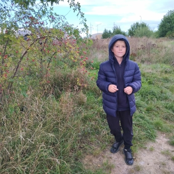 d0101c6c-f9ee-466c-9a31-75b306a9e65f