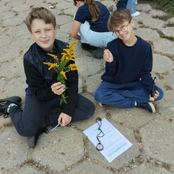 0194e201-38f5-4cb6-b882-3b2f09f55a24