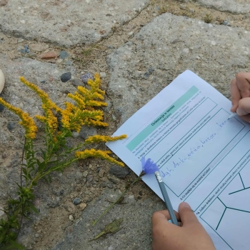 696f1d79-9c12-4580-8439-628fdb7756a4