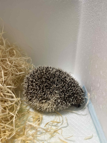 639dc255-2993-40e0-b0aa-7365ec957817