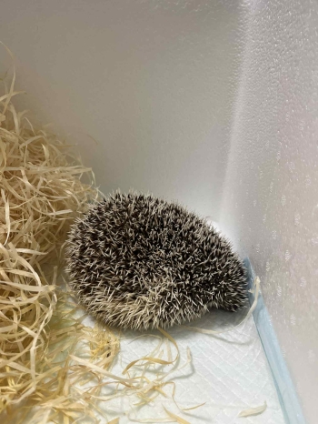 67a8eea4-abeb-4795-b8ae-ab402bce4c98