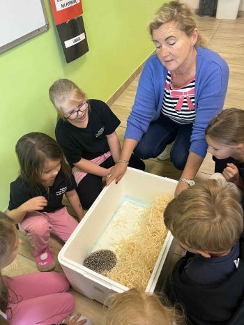 c7bded73-3ac5-4fcc-b825-d28348a79c28