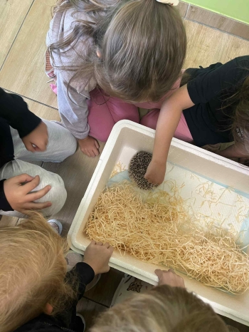 91fff290-25ed-4733-b0f1-5f1d1b194609