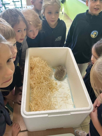 3c094091-7b95-4d35-80ab-47d797ad3e7e