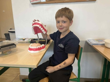 bb64e801-3e5a-4c55-985f-4c5db4728162