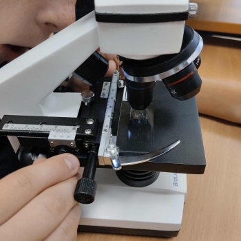 b62a4f21-573e-4f17-9895-f73a2ec1e759