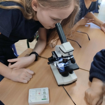 0618a0da-0490-495e-8467-703271b3b508