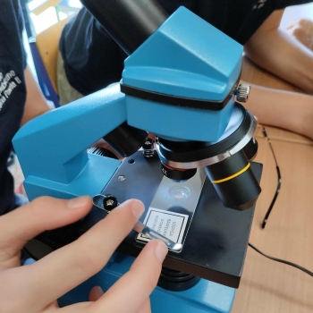 b58752d2-2944-4b30-b473-f17e81684baf