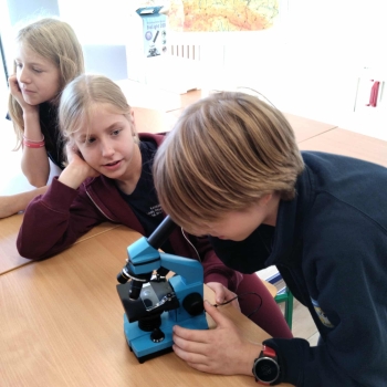 97bc6251-6e42-4454-888d-330640feb522