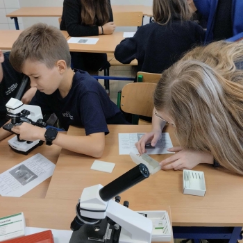 ae9b70b9-429f-417b-95b1-887458326998