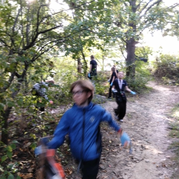 f2fb9557-bfe0-44fd-ab47-686b62301cc2