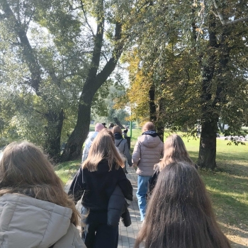 7ed62478-fd05-426a-ad59-e3b8cd7258b3