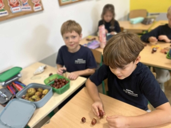 29a72526-14e4-4083-88e0-9cab4a7f0264.jfif