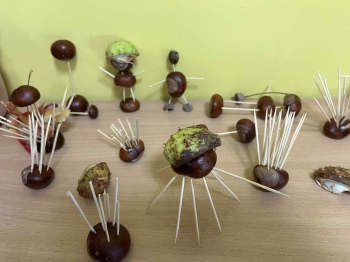 2b00c918-bd43-4a34-a1bd-6b607f44bd79.jfif