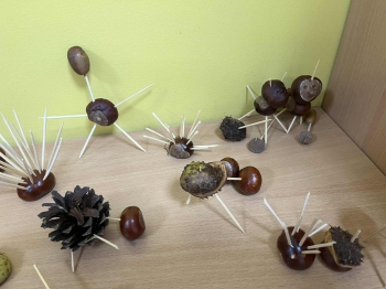 1c4f2292-19bc-4bf5-8640-734b013dd399.jfif