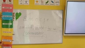 7e7e3411-0669-4da2-9fc8-42d748778579.jfif