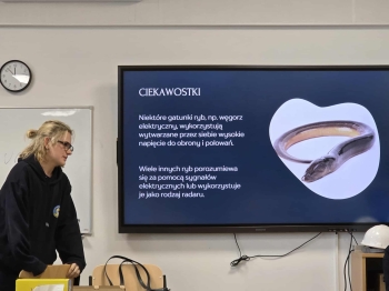 7ed1070e-b92d-4c86-8ea1-f8a2de8245b7