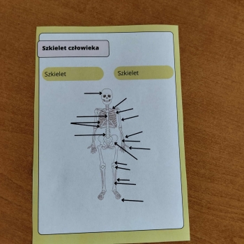 6fbf17f3-a74d-48b9-9a09-9444d002426e