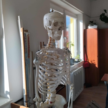 e52698af-7a77-45a1-8fcd-3c0223a4f44f