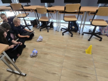 8ce4db69-2b84-4913-8633-855f33a49ac5