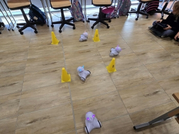 23cfba88-1699-42a9-a9cb-76e71e77b43c