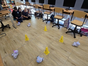 67b7bee4-ff8c-488e-959a-6c4e39b45939