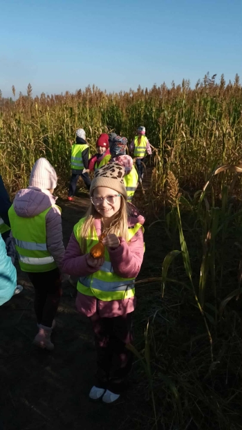 7e32956d-78d5-4dad-8c22-b22be5040d06