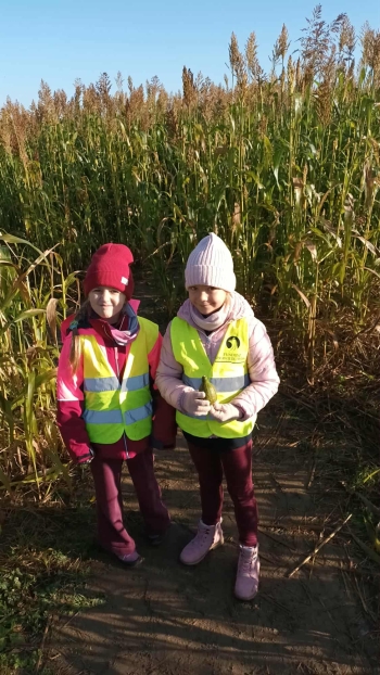 554757a7-b822-4c18-a0b1-f0eb2c0d1014