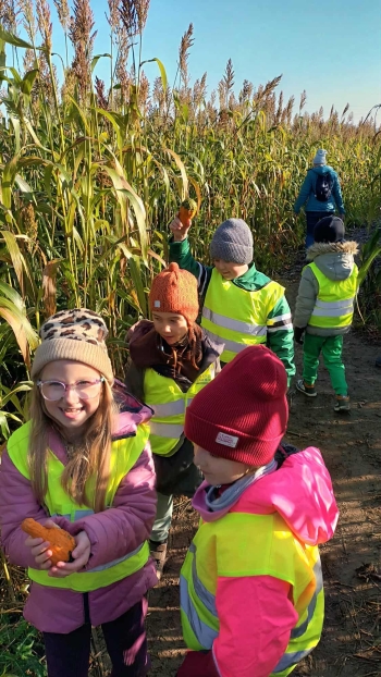 bf78bc10-f00c-491f-9f92-1c43df0e9074