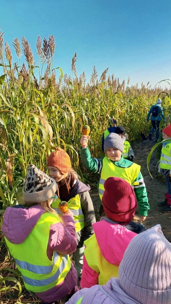 42df1012-9f73-4c27-8b08-bf20c0408019