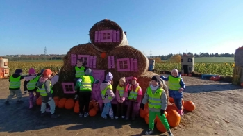 8cc8f74c-8003-436e-a21f-304b4d72b803